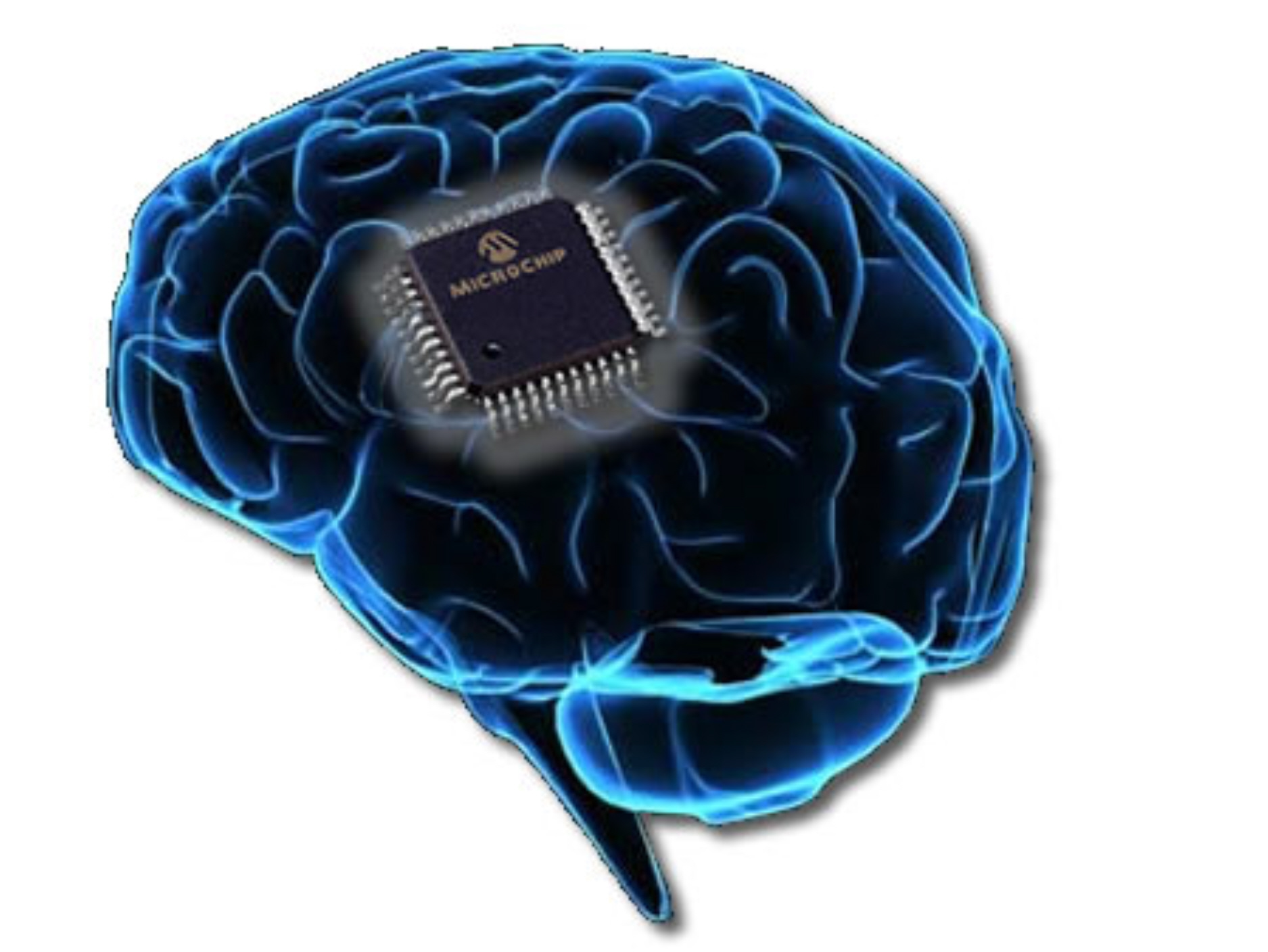 Brain core. Чип в мозг. Микрочип в мозг. Процессор в голове.